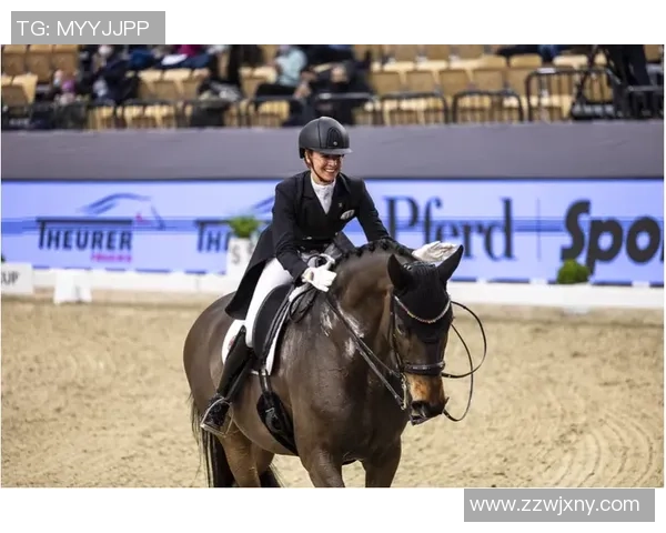 2017年大奖赛精彩对决巴西队与荷兰队的巅峰之战回顾