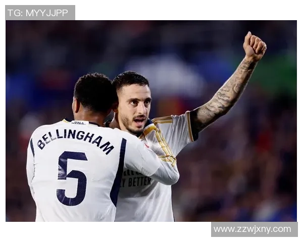 2009年皇马对赫塔菲精彩比赛录像回放全程回顾与分析 2009年皇马对赫塔菲精彩比赛录像回放全程回顾与分析